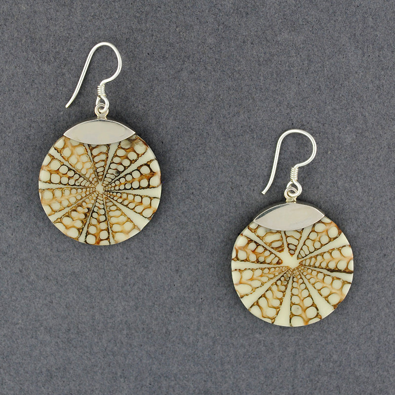 Brown and White Shell Inlay Earrings