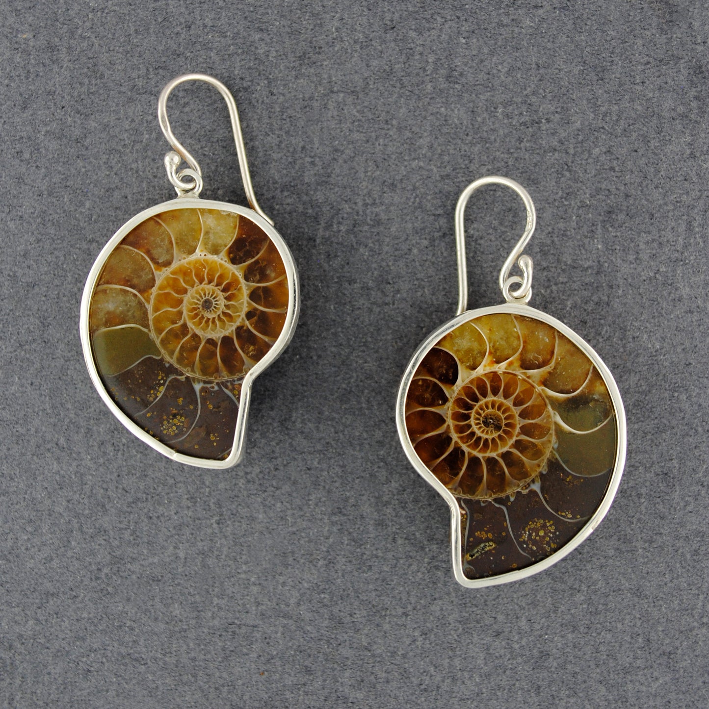 Ammonite Earrings