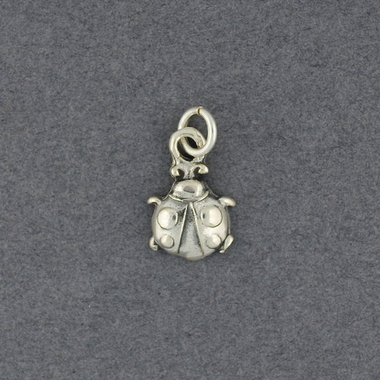 Sterling Silver Beetle Pendant