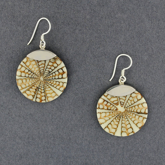 Brown and White Shell Inlay Earrings