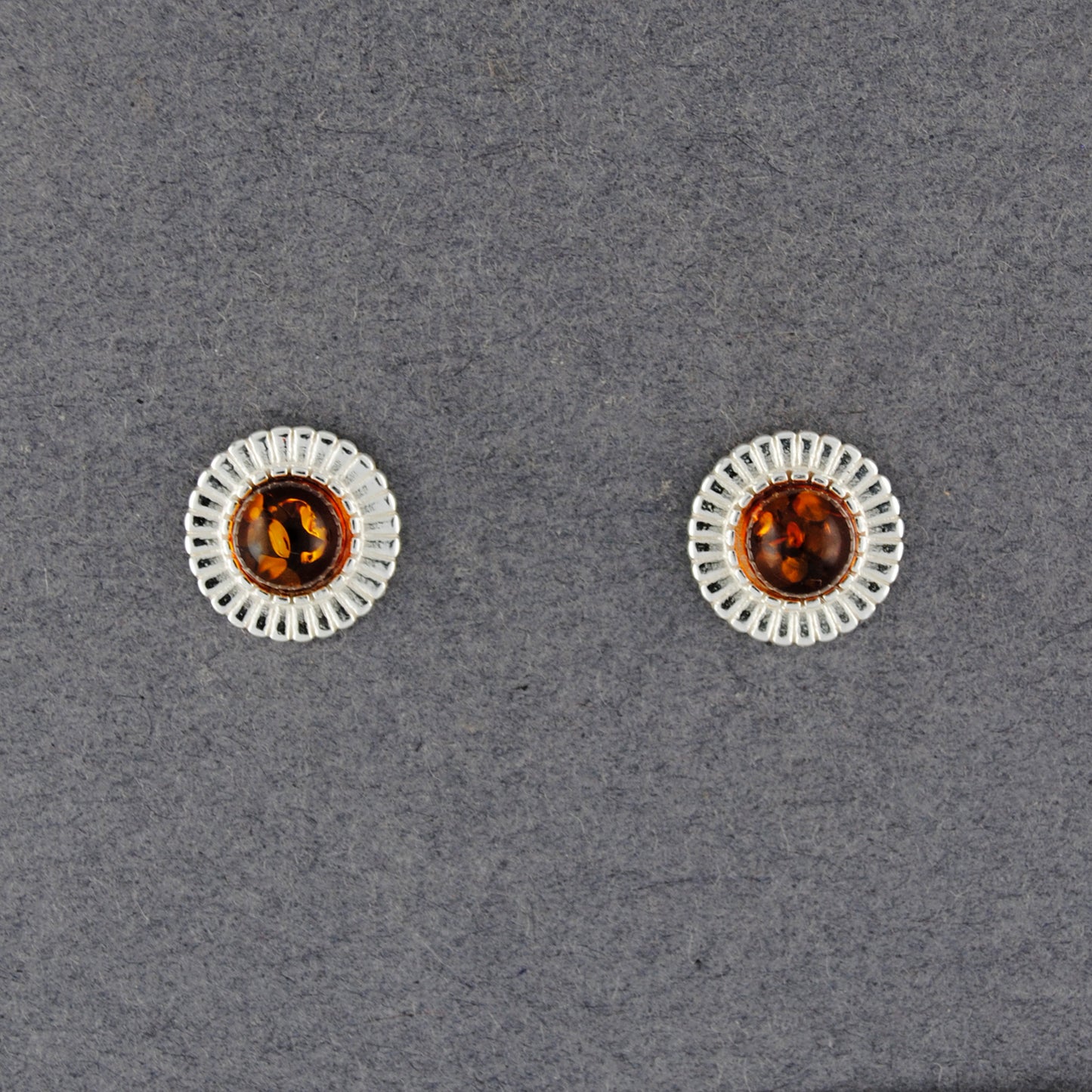 Amber Lined Circle Post Earrings