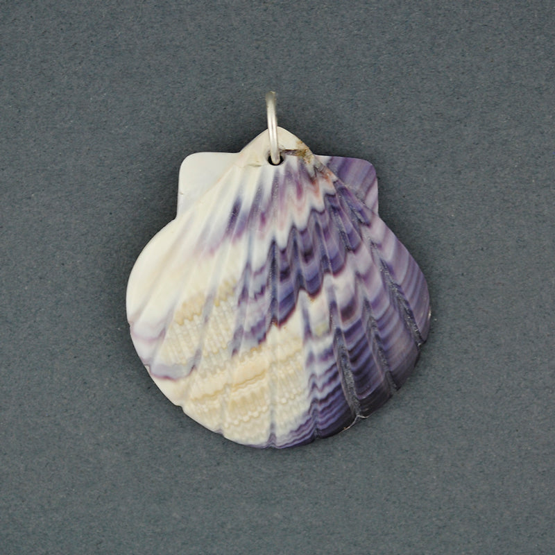 Wampum Extra Large Scallop Pendant