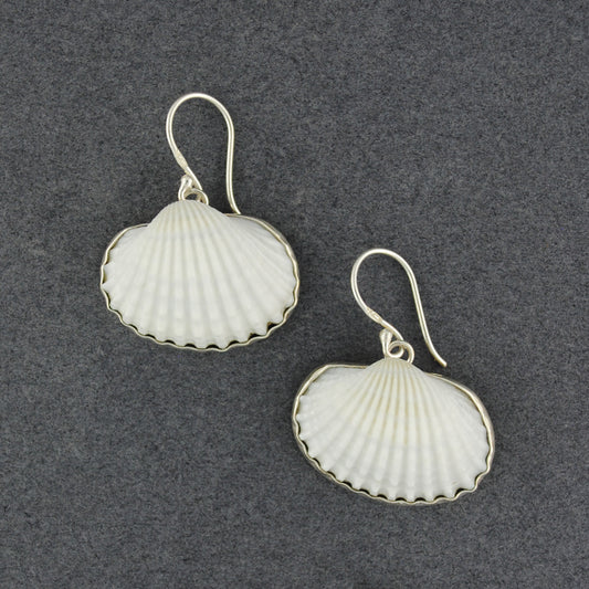 Shell with Silver Edge Earrings