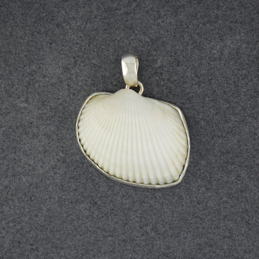 Shell with Sterling Silver Border Pendant