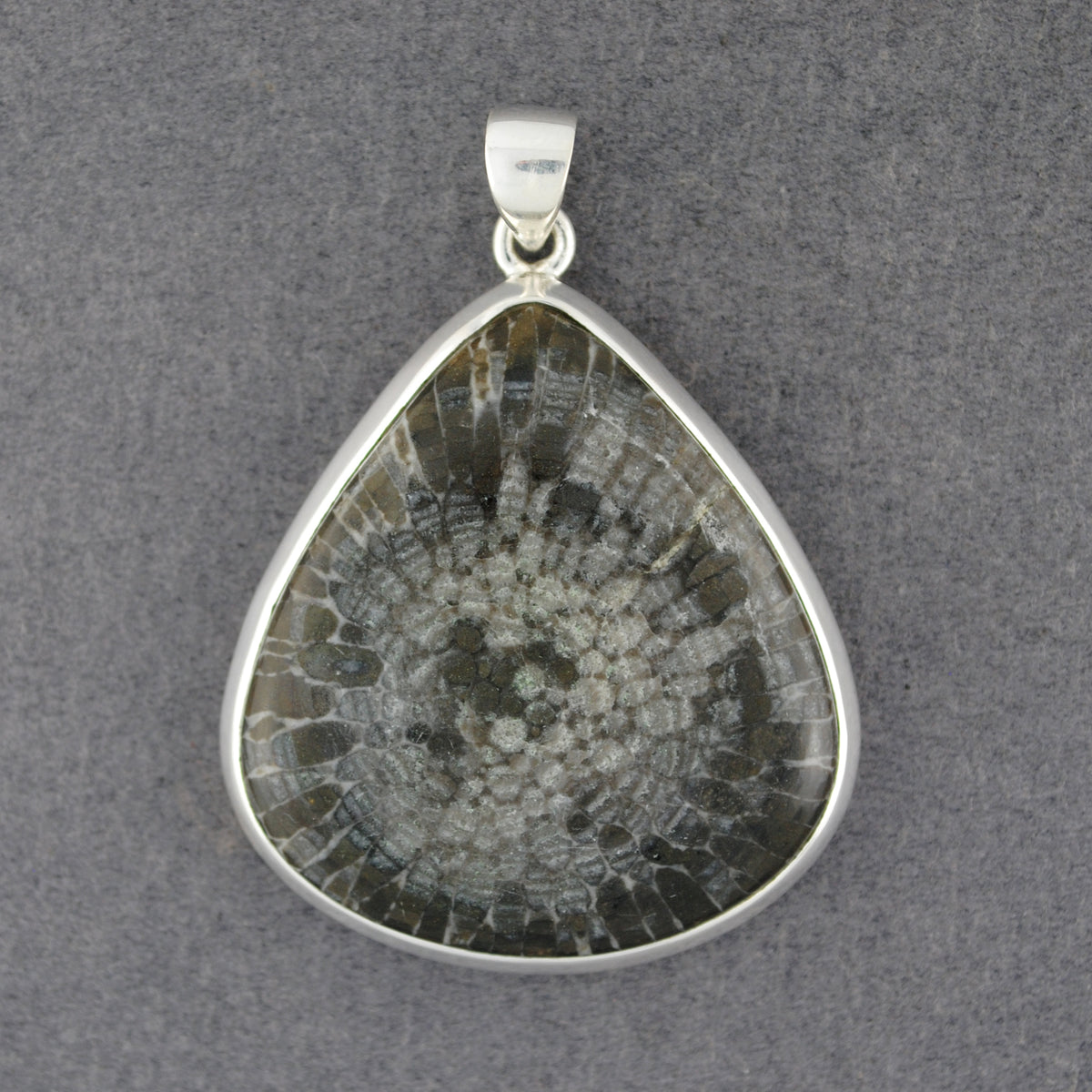 Sterling Silver Dinosaur Bone Large Teardrop Pendant