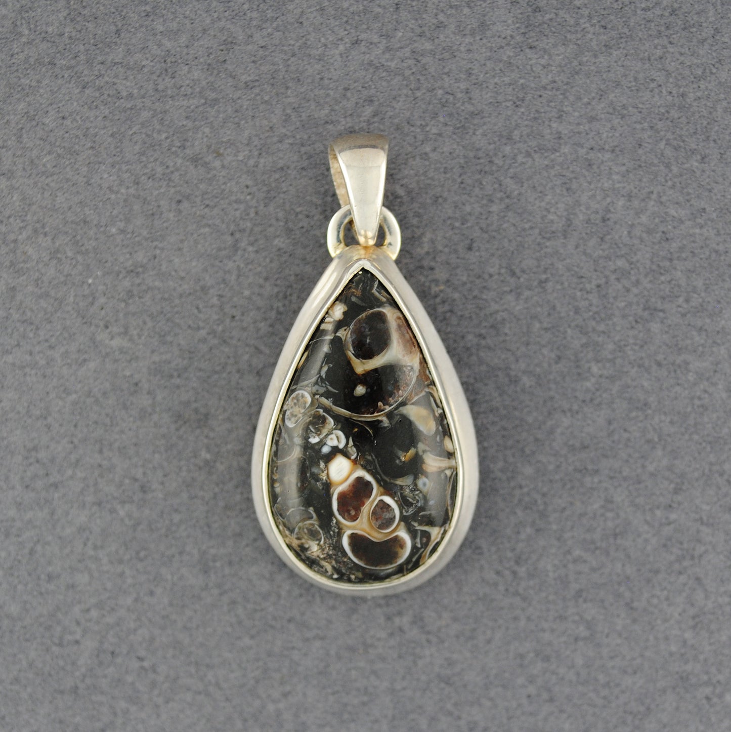Sterling Silver Turretella Teardrop Pendant